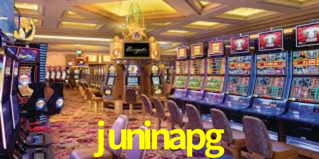 juninapg App Interface