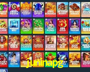 Interface Premium juninapg