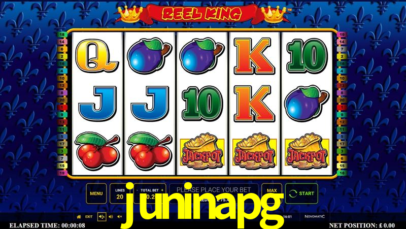 Responsive Design juninapg